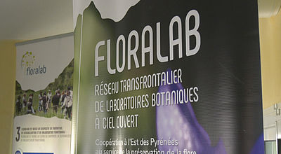 video | Floralab : Un laboratoire botanique à ciel ouvert dans le massif des Pyrénées