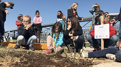 Montpellier : 130 enfants plantent des rosiers à l'aéroport avant de découvrir le ciel