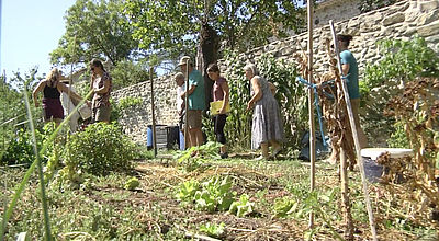 Le combat des jardiniers pour faire revivre les légumes oubliés des Cévennes