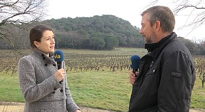 Salon Millésime bio : Le mondial du vin biologique de retour en Occitanie
